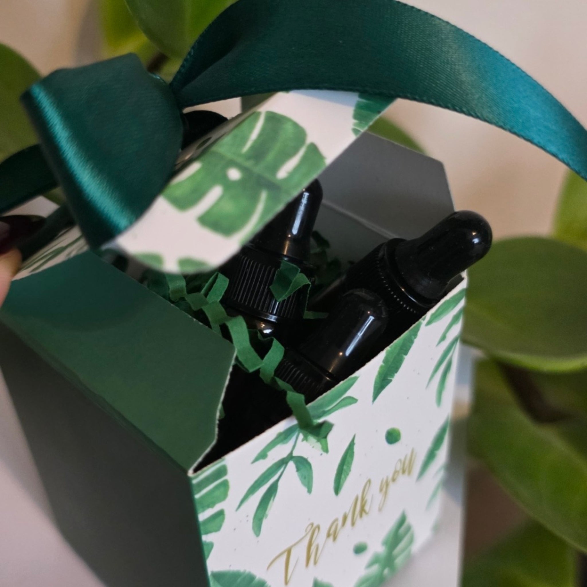 TrustBotics essential oils bottles inside luxury gift box with ribbon and botanical design
