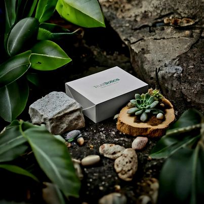 Inside the Ritual: The Ingredients That Define TrustBotics
