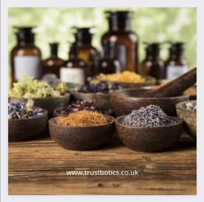 What are Essential Oils? Detailed History of Essential Oils