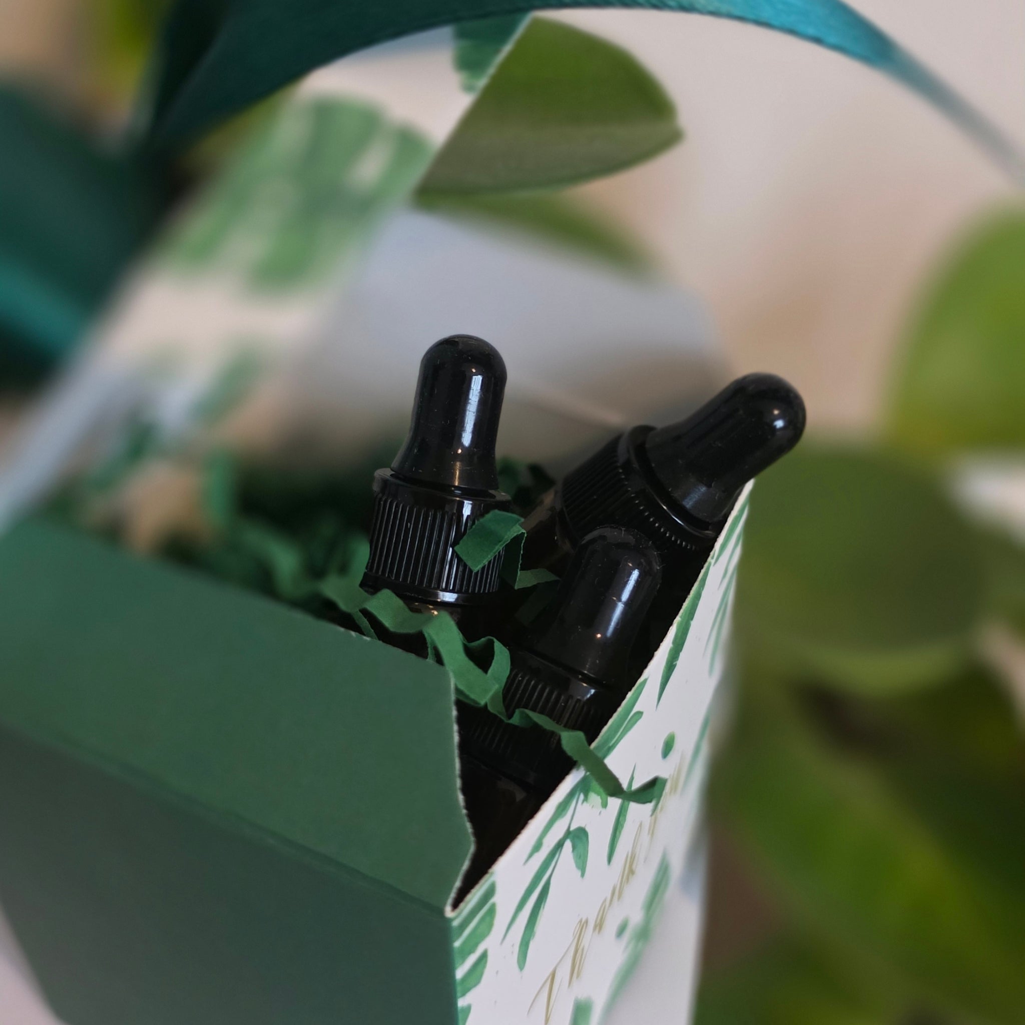 TrustBotics luxury essential oils in elegant gift wrap box with ribbon – natural wellness gift set