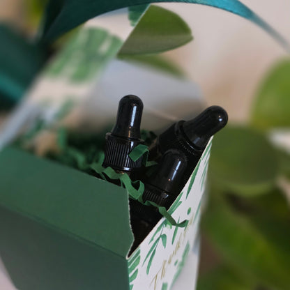 TrustBotics luxury essential oils in elegant gift wrap box with ribbon – natural wellness gift set